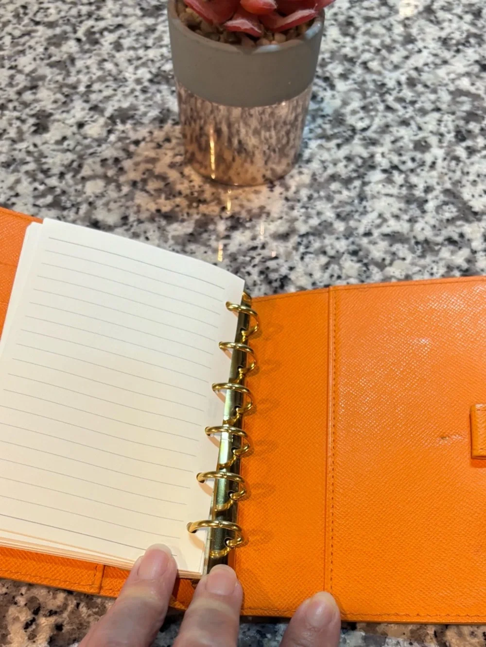 Louis Vuitton Orange PM Agenda
